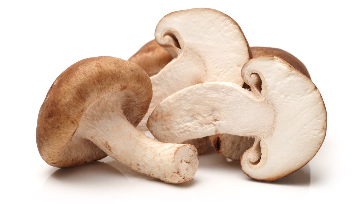 Kardform kapsüllerde shiitake mantarları